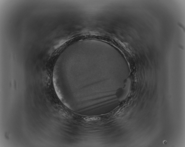 X0000091651303200709131442