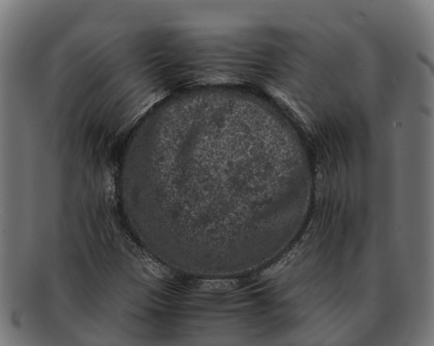 X0000091651305200709131442