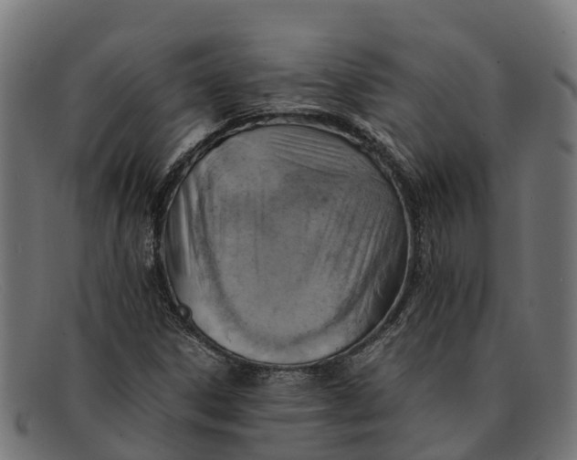 X0000091651306200709131442