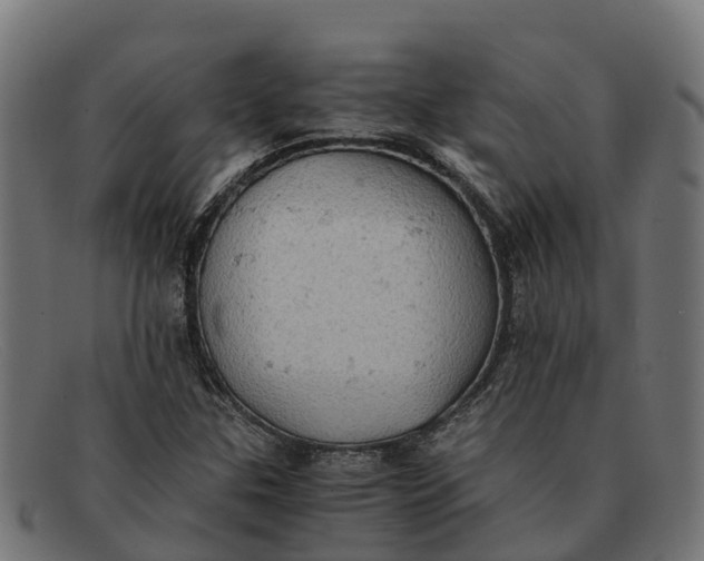 X0000091651307200709131442