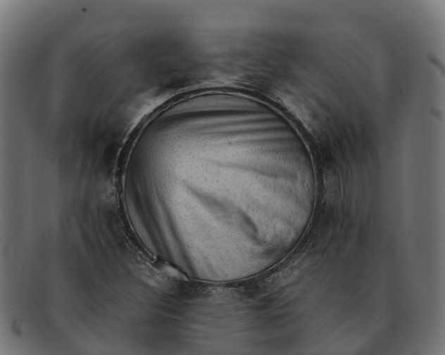 X0000091651308200709131442