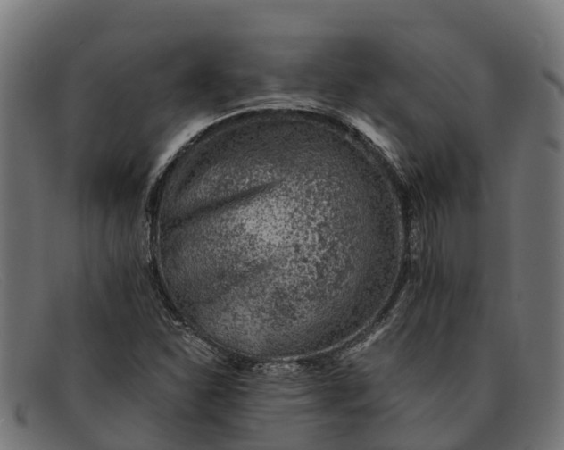 X0000091651310200709131442