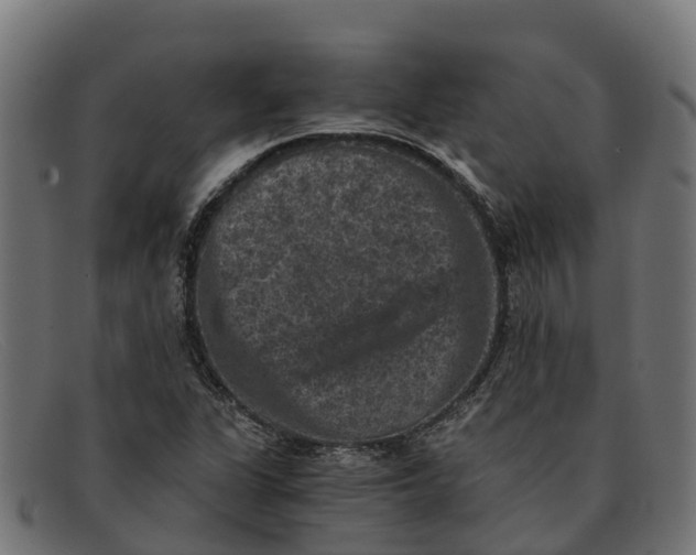 X0000091651311200709131442