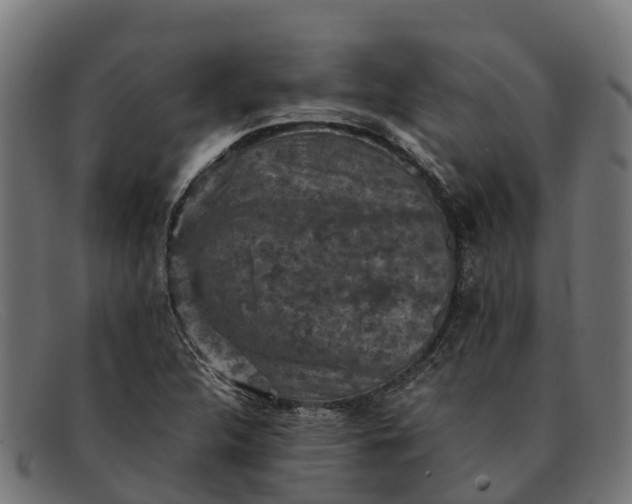 X0000091651312200709131442