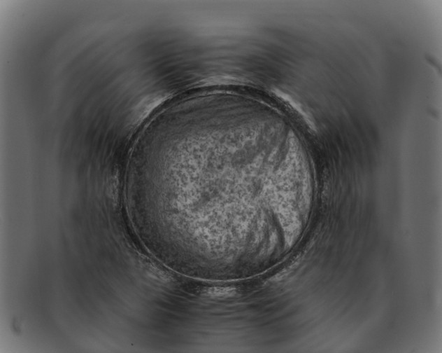 X0000091651313200709131442