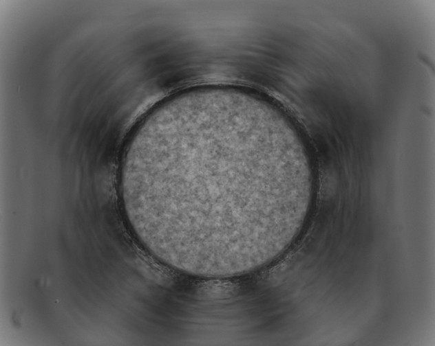 X0000091651314200709131442