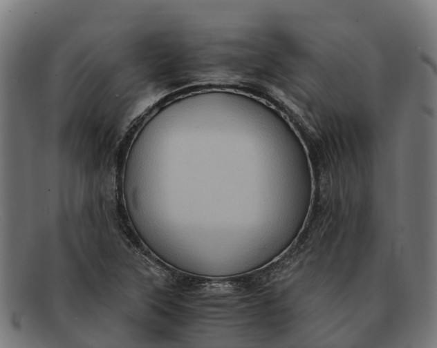 X0000091651315200709131442