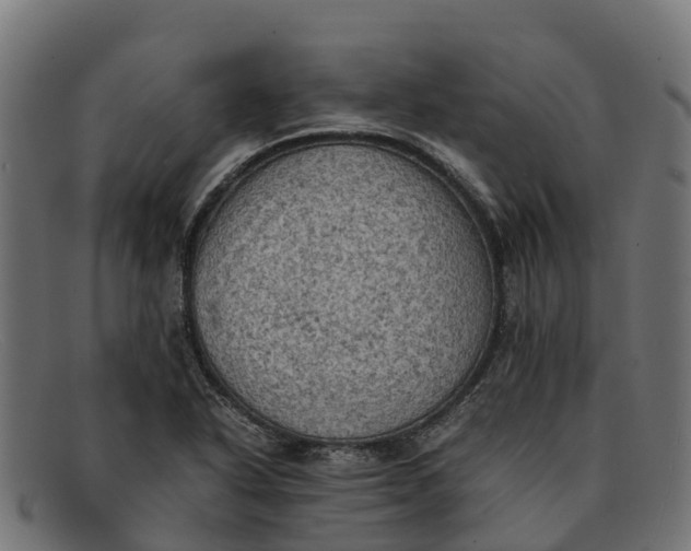 X0000091651318200709131442