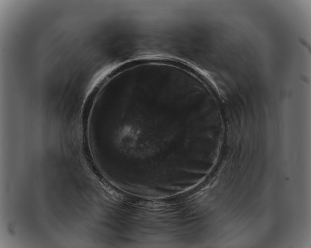 X0000091651319200709131442