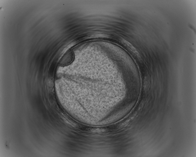 X0000091651321200709131442