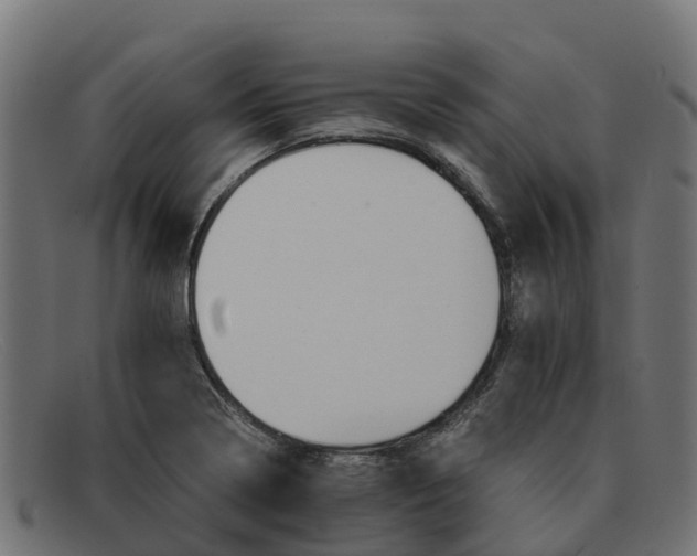 X0000091651322200709131443