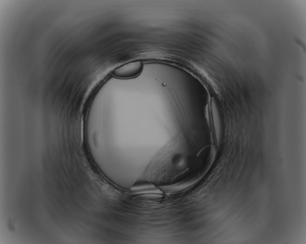 X0000091651323200709131443