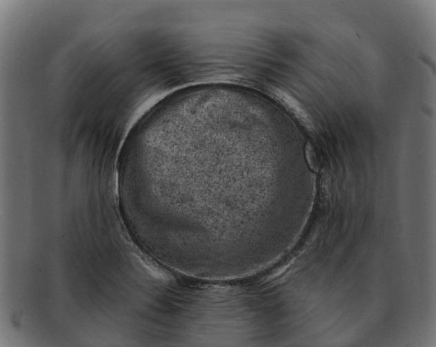 X0000091651324200709131443