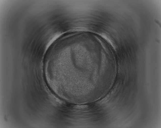 X0000091651325200709131443