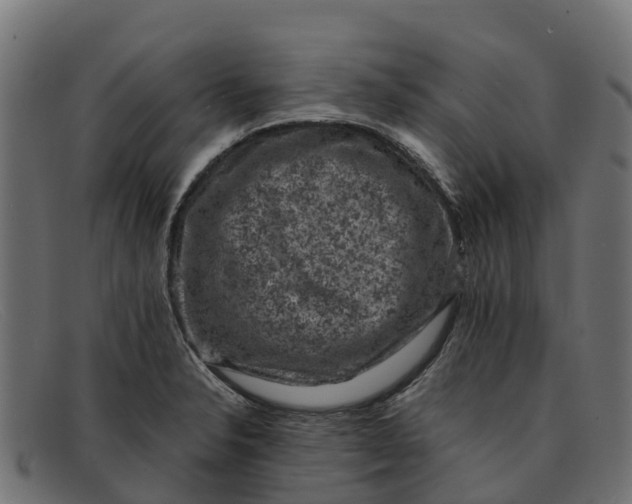 X0000091651326200709131443