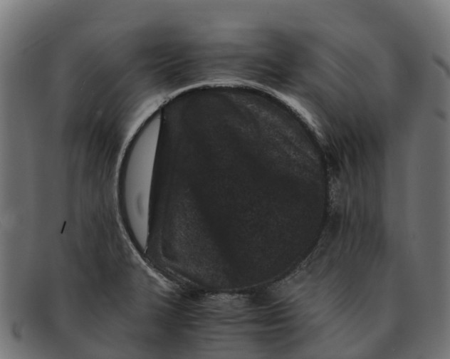 X0000091651327200709131443