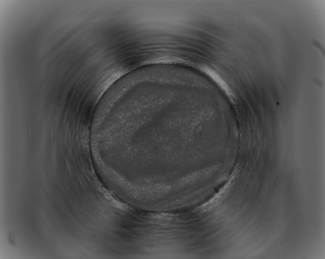 X0000091651329200709131443