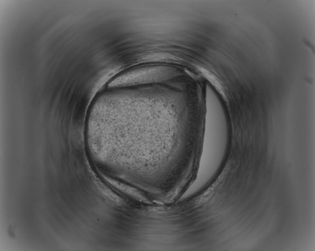 X0000091651330200709131443