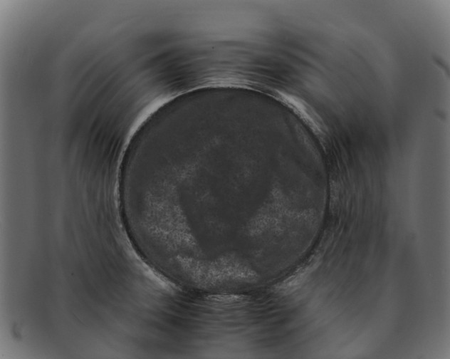 X0000091651331200709131443