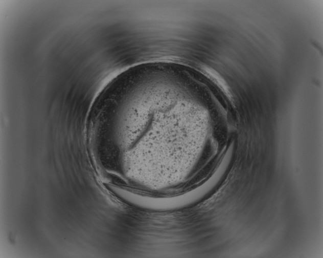 X0000091651332200709131443