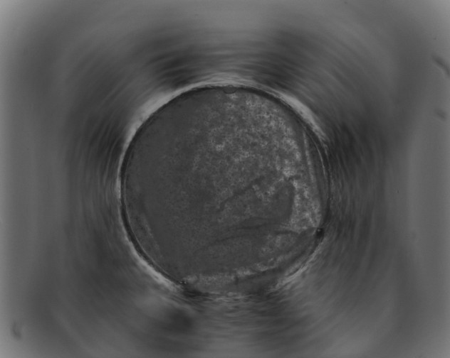 X0000091651335200709131443