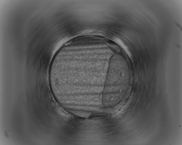 X0000091651336200709131443