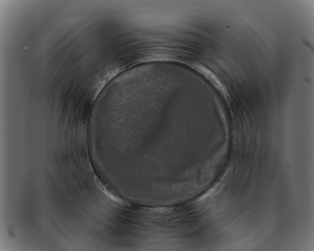 X0000091651337200709131443