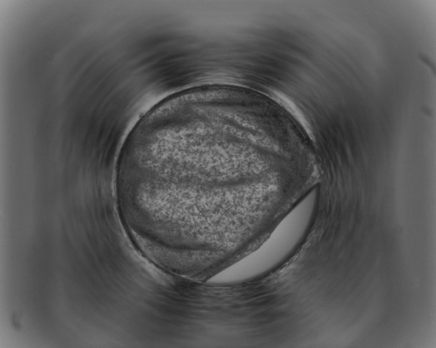 X0000091651339200709131443