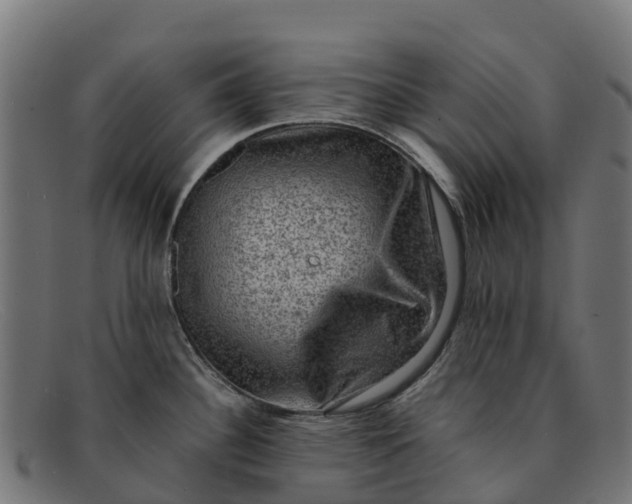 X0000091651340200709131443