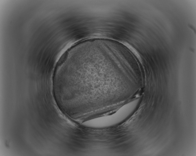 X0000091651341200709131443