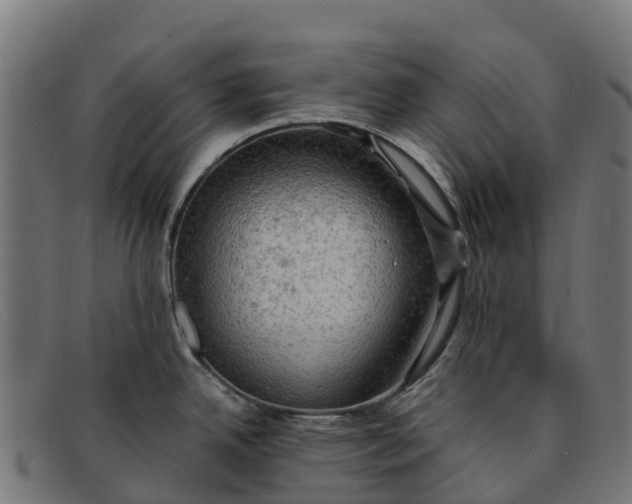 X0000091651342200709131443