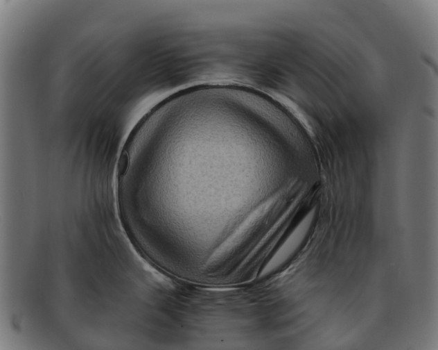 X0000091651343200709131443