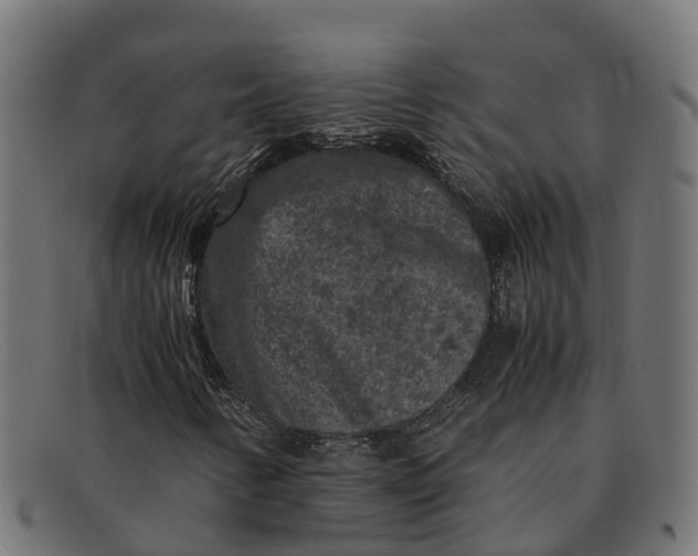 X0000091651346200709131442