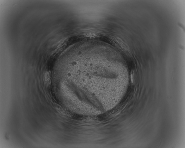 X0000091651347200709131442