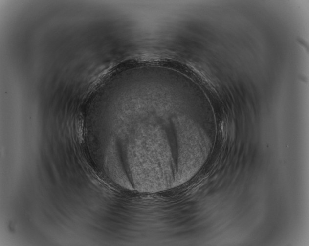 X0000091651348200709131442