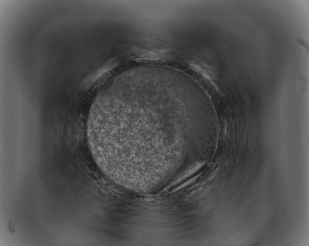 X0000091651350200709131442