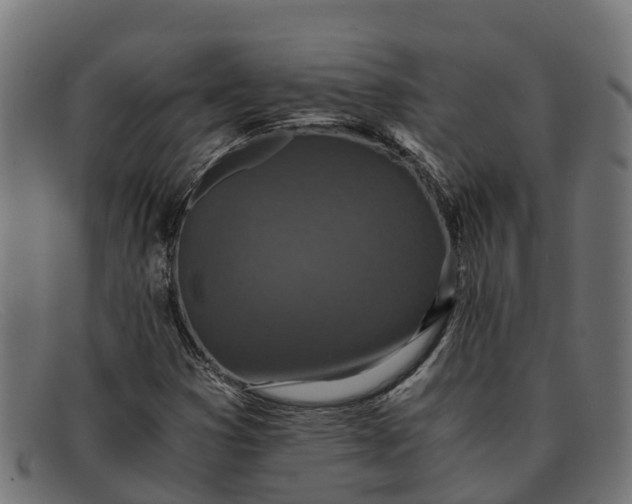 X0000091651353200709131442