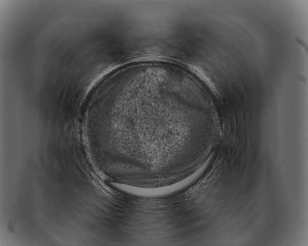 X0000091651356200709131442