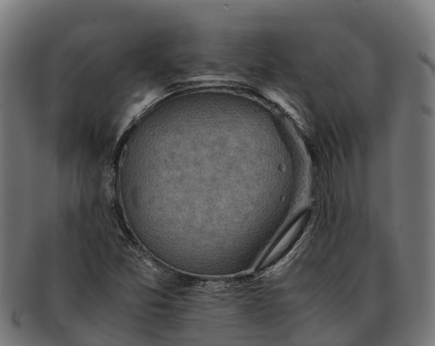 X0000091651357200709131442