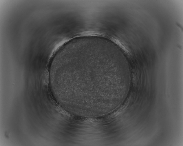 X0000091651358200709131442