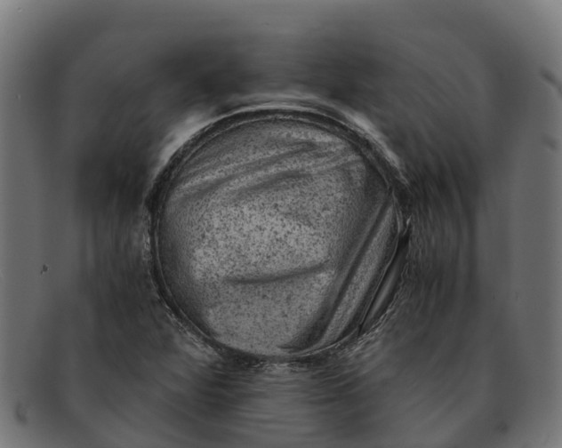 X0000091651360200709131442