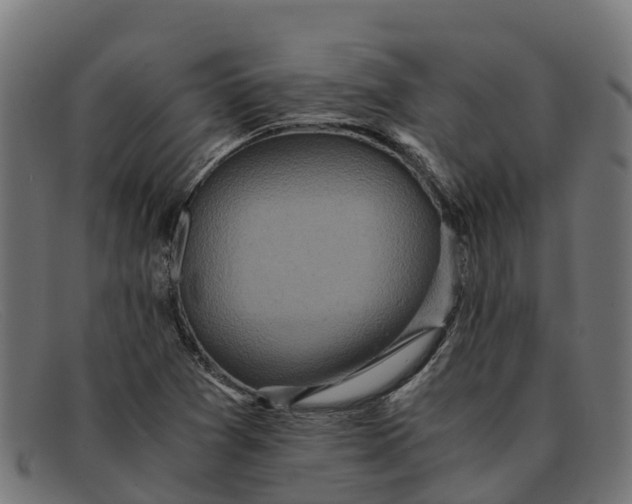 X0000091651361200709131442