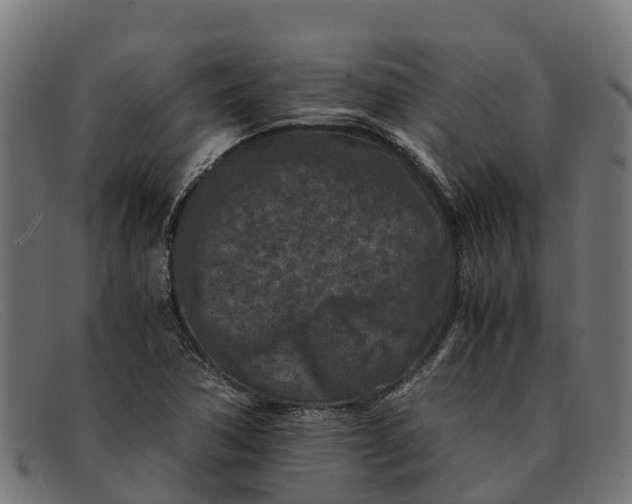 X0000091651362200709131442