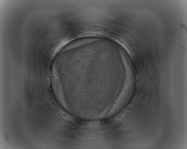 X0000091651363200709131442