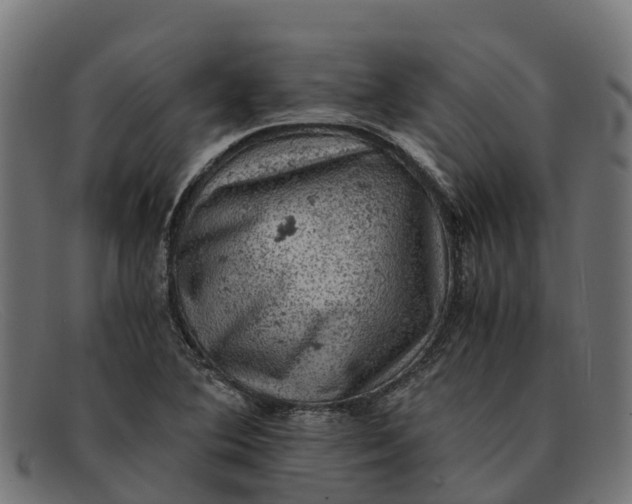 X0000091651364200709131442