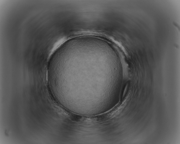 X0000091651365200709131442