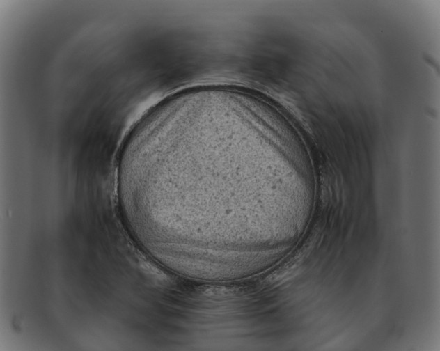 X0000091651366200709131442