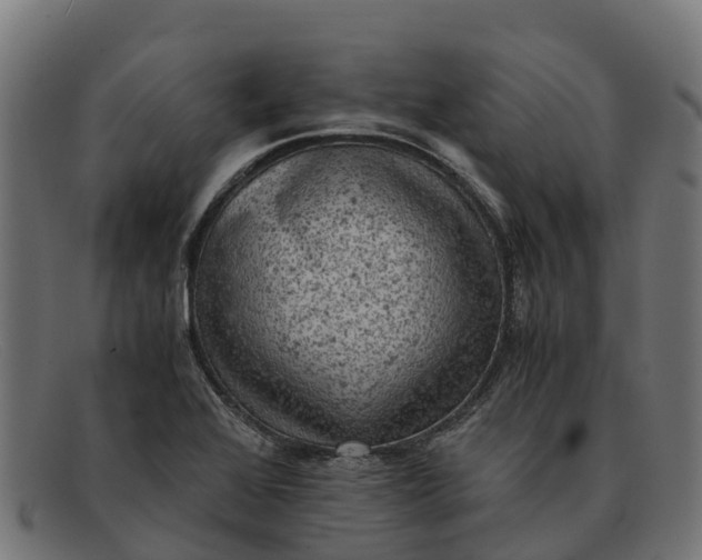 X0000091651368200709131442