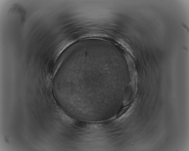 X0000091651369200709131442