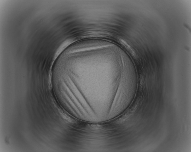 X0000091651370200709131442